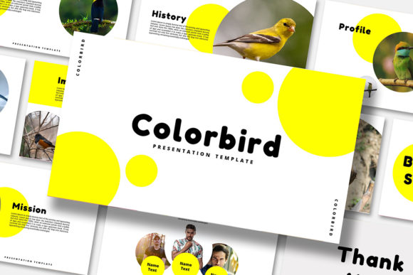 Color Bird - PowerPoint Template: Your Shortcut to Stunning Presentations