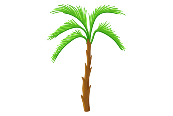 Jungle Tree Color Icon: An Exotic Forest Palm for Bold Visuals