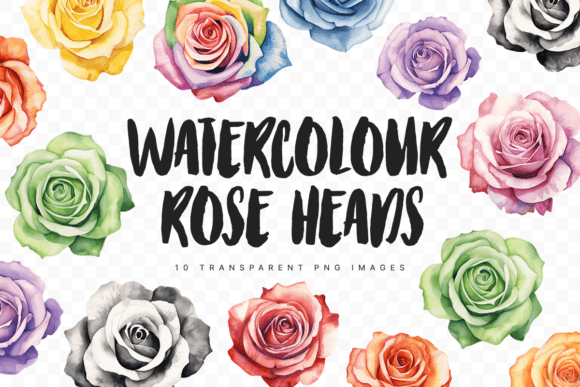 Watercolour Rose Head Illustrations for Creative Projects